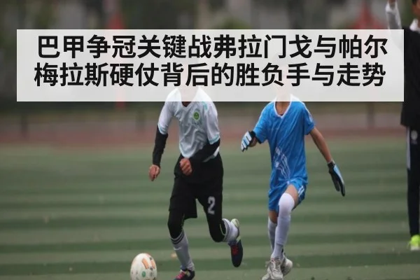 巴甲争冠关键战弗拉门戈与帕尔梅拉斯硬仗背后的胜负手与走势 - kaiyun